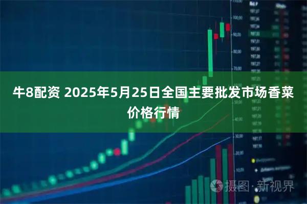 牛8配资 2025年5月25日全国主要批发市场香菜价格行情