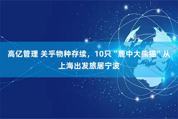 高亿管理 关乎物种存续，10只“鹿中大熊猫”从上海出发旅居宁波