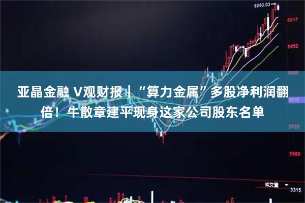 亚晶金融 V观财报｜“算力金属”多股净利润翻倍！牛散章建平现身这家公司股东名单